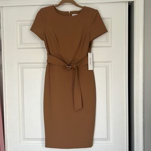 Brand New with Tags Calvin Klein Dress size 2 Brown/Tan Belt Gold Zip